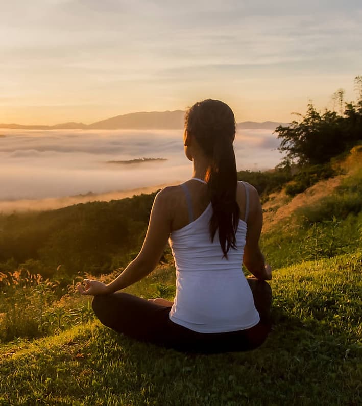 Wellness and mindfulness journey